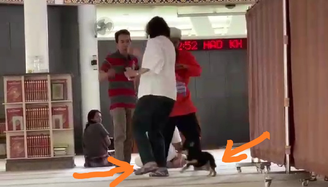 Istri Bawa Anjing Masuk Masjid, Suami Bilang Begini