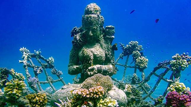 Wisata Bahari di Taman Dewa di Laut Pemuteran, Bali