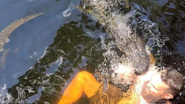 Pria ini Diterkam Karena Sok dekat dan Berenang Bareng Buaya