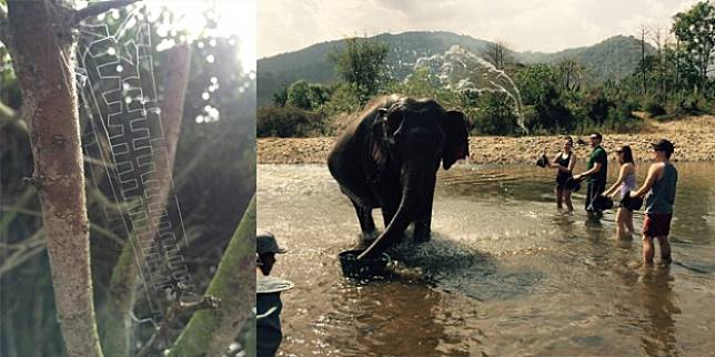 14 Kejadian Aneh dan Langka Ini Terjadi Sekali Seumur Hidup