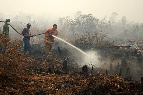 Sebanyak 15 Hektare Lahan Gambut Riau Kembali Terbakar