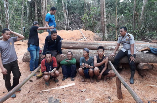 Olah Kayu di Hutan Konservasi, Empat Penebang Diamankan Polisi Meranti