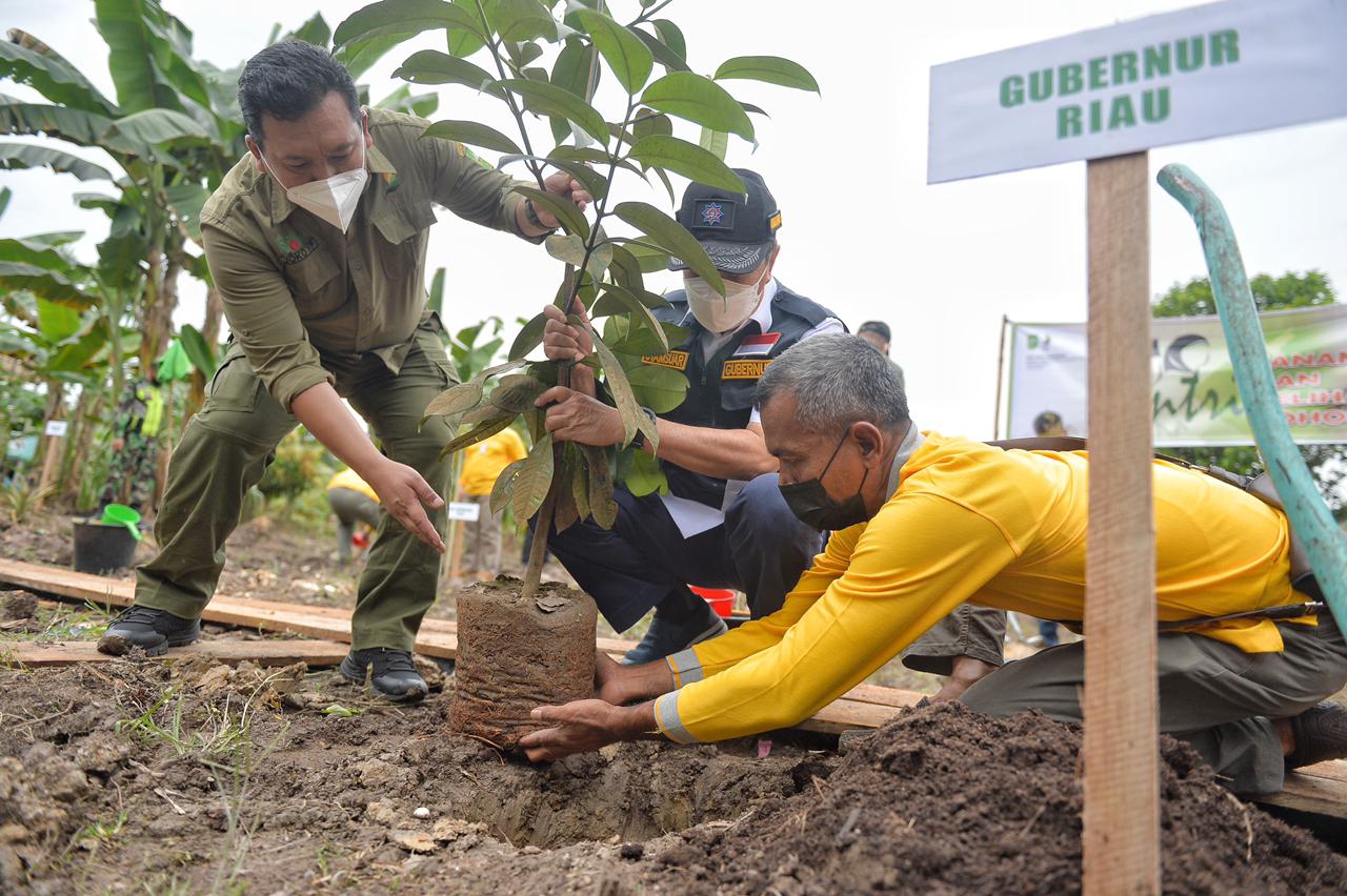 Serahkan 10.000 Bibit Pohon dan Uang Pembinaan, Gubri Syamsuar Gaungkan Santripreneur
