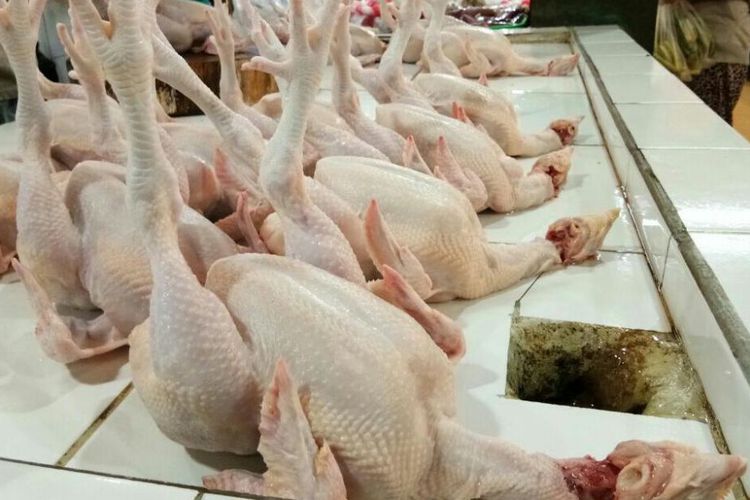 Harga Daging Ayam di Pekanbaru Naik Hingga Rp55 Ribu per Kilogram