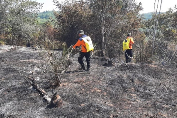 11 Hektare Kebakaran Lahan di Kabupaten Kampar Padam