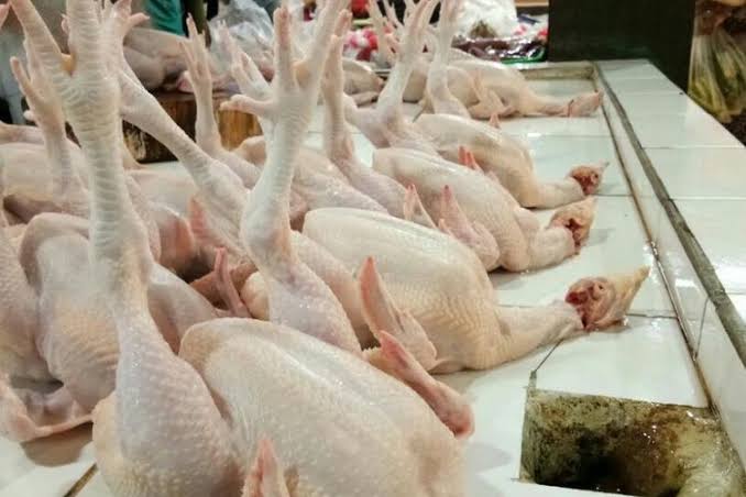 Harga Ayam Ras Masih Terjangkau di Pasar Selodang Kelapa Tembilahan