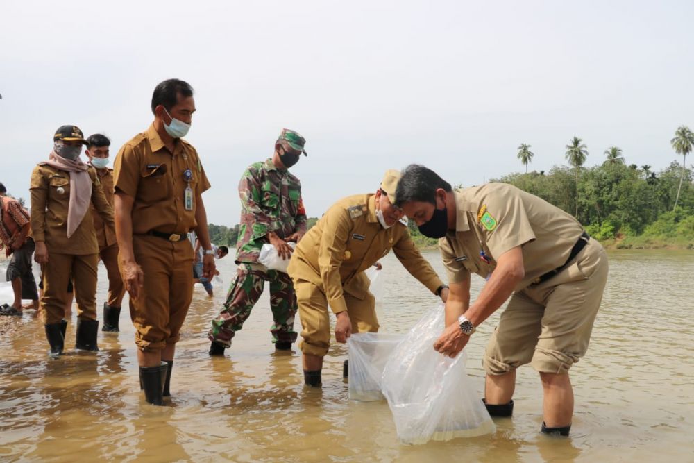 DKP Riau Tebar Benih Ikan di Kuansing