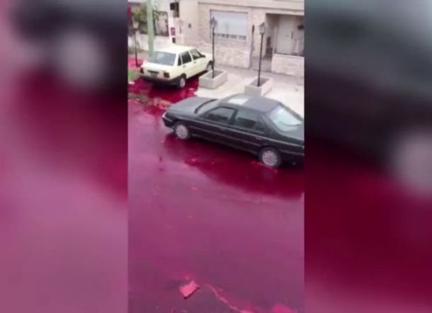 MELEDAK, Tangki Berisi 5.000 Liter Darah Sapi Buat Jalan Mengerikan