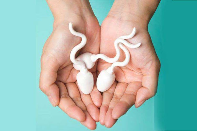 Mengeluarkan Sperma Setiap Hari, Apakah Sehat?