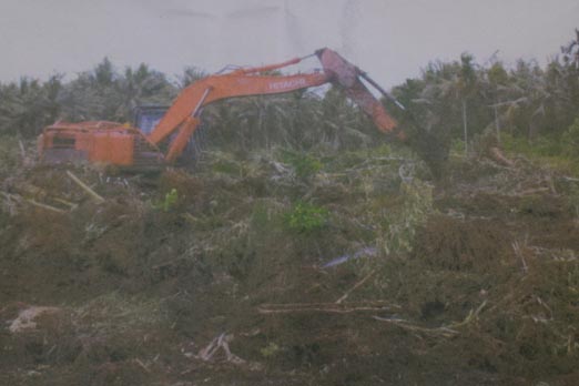 PT CPK Langgar Komitmen dengan Bupati Inhil