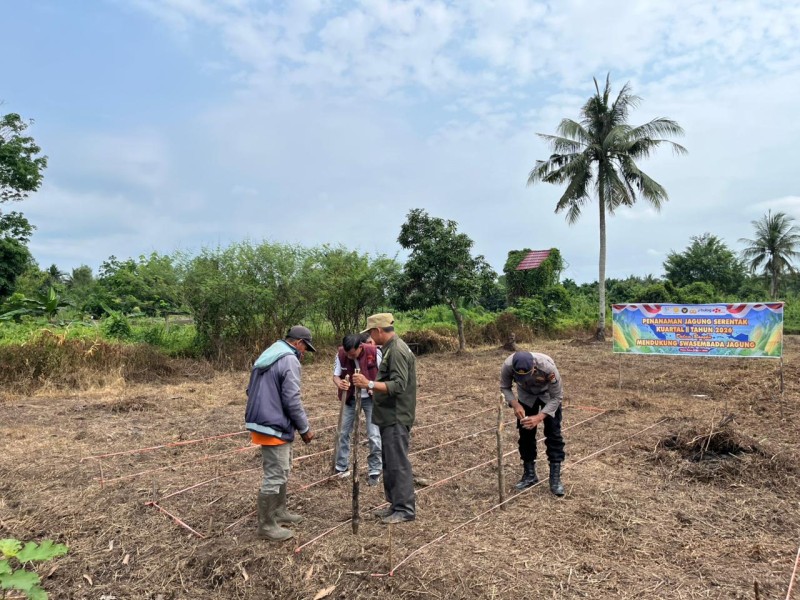 Polri dan Warga Bersatu, Penanaman Jagung Serentak Digelar di Pulau Palas