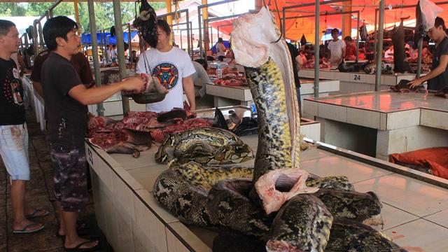 Disorot Dunia, Pasar Tomohon Bisa Jadi Tempat Berkembang Virus Corona