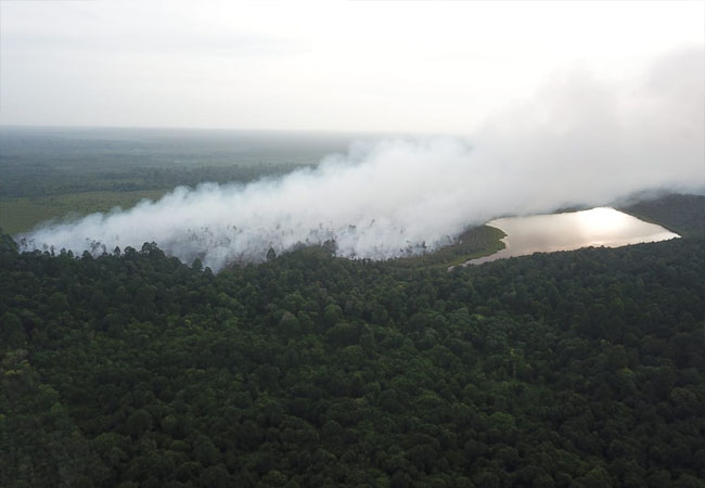 Karhutla di Kepulauan Meranti Hanguskan Hampir 5 Hektar Lahan Gambut