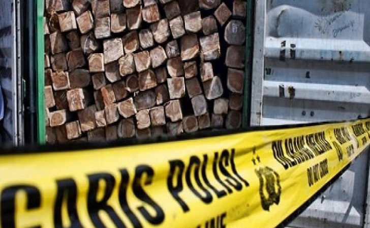 Petugas Bongkar Illegal Logging di Pelalawan, Ini Kronologinya