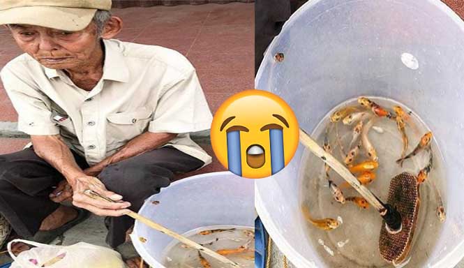 Kisah Kakek Penjual Ikan Koi Ini Bikin Netizen Menangis