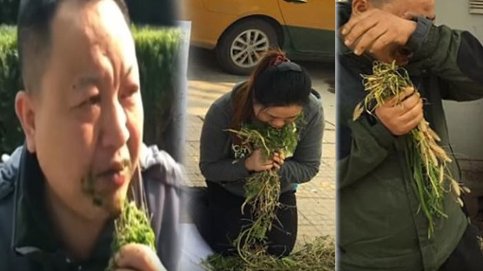 SEDIH... Terlilit Hutang Miliaran, Pasangan Suami Istri Ini Terpaksa Makan Rumput