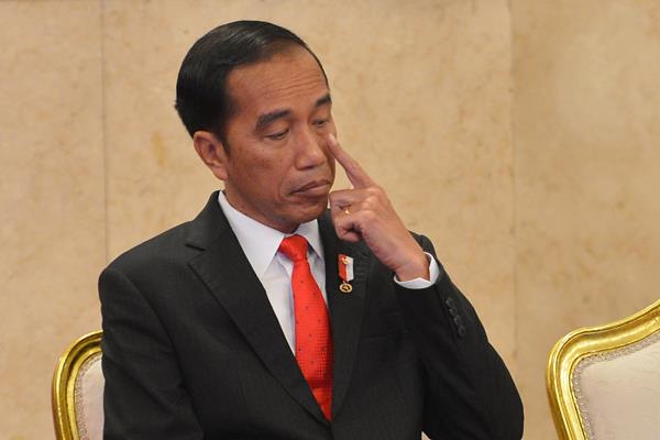 Presiden Jokowi Dijadwalkan ke Riau
