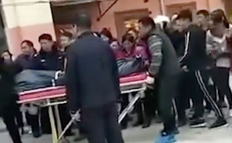 Anak Bunuh Ibunya Gara-Gara Anjing Peliharaan