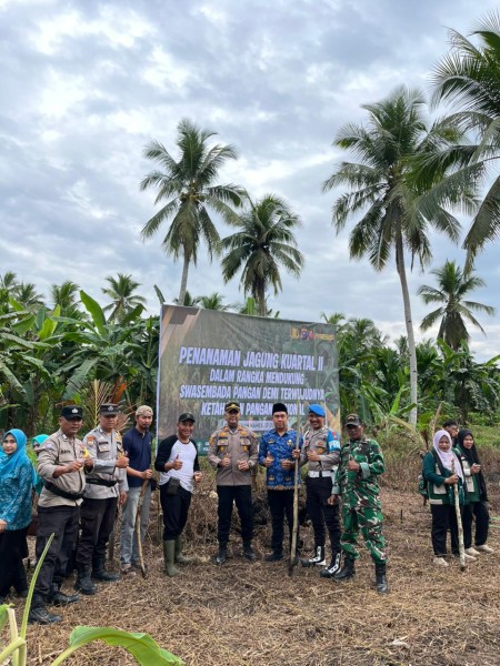 Kelompok Tani Karya Mekar dan KWT Dahlia Jadi Motor Penanaman Jagung di Tembilahan Hulu