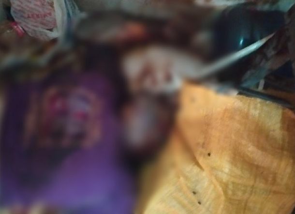 KASIHAN! Balita ini 3 Hari Peluk Sang Ibu yang Sudah Membusuk