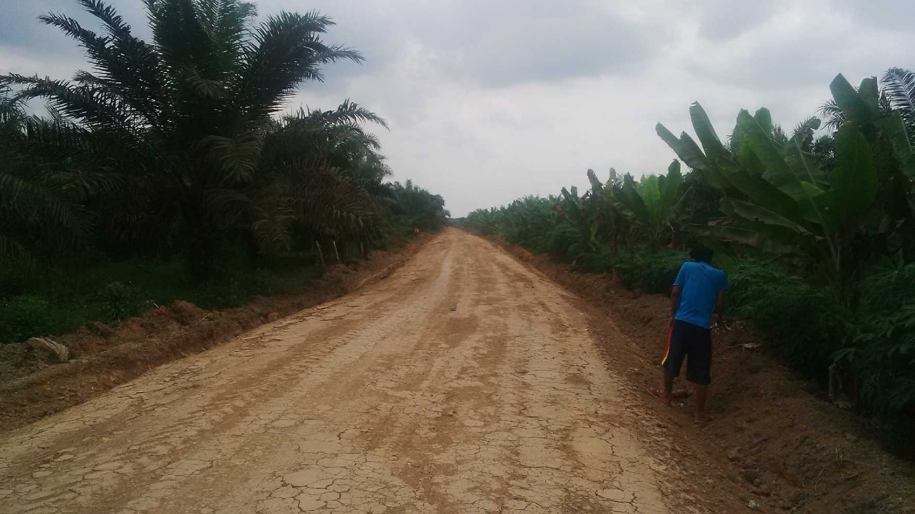 Kurang Perhatian, Masyarakat Desa Sialang Dua Dahan Lakukan Pengerasan Jalan Secara Swadaya