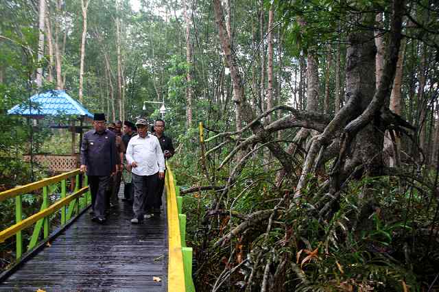 Wardan Janji Akan Kembangkan Hutan Mangrove di Mandah Menjadi Kawasan Wisata