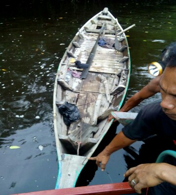 Pergi Cari Kayu, Warga Inhil Tiba-tiba Hilang di Sungai