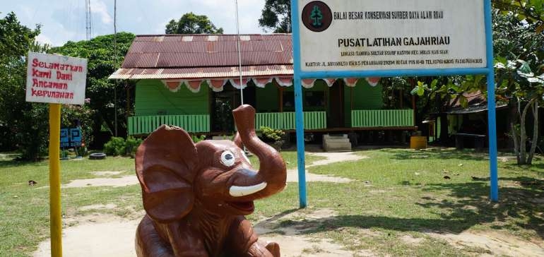 BBKSDA Riau Minta Chevron Membersihkan Limbah Tersebut