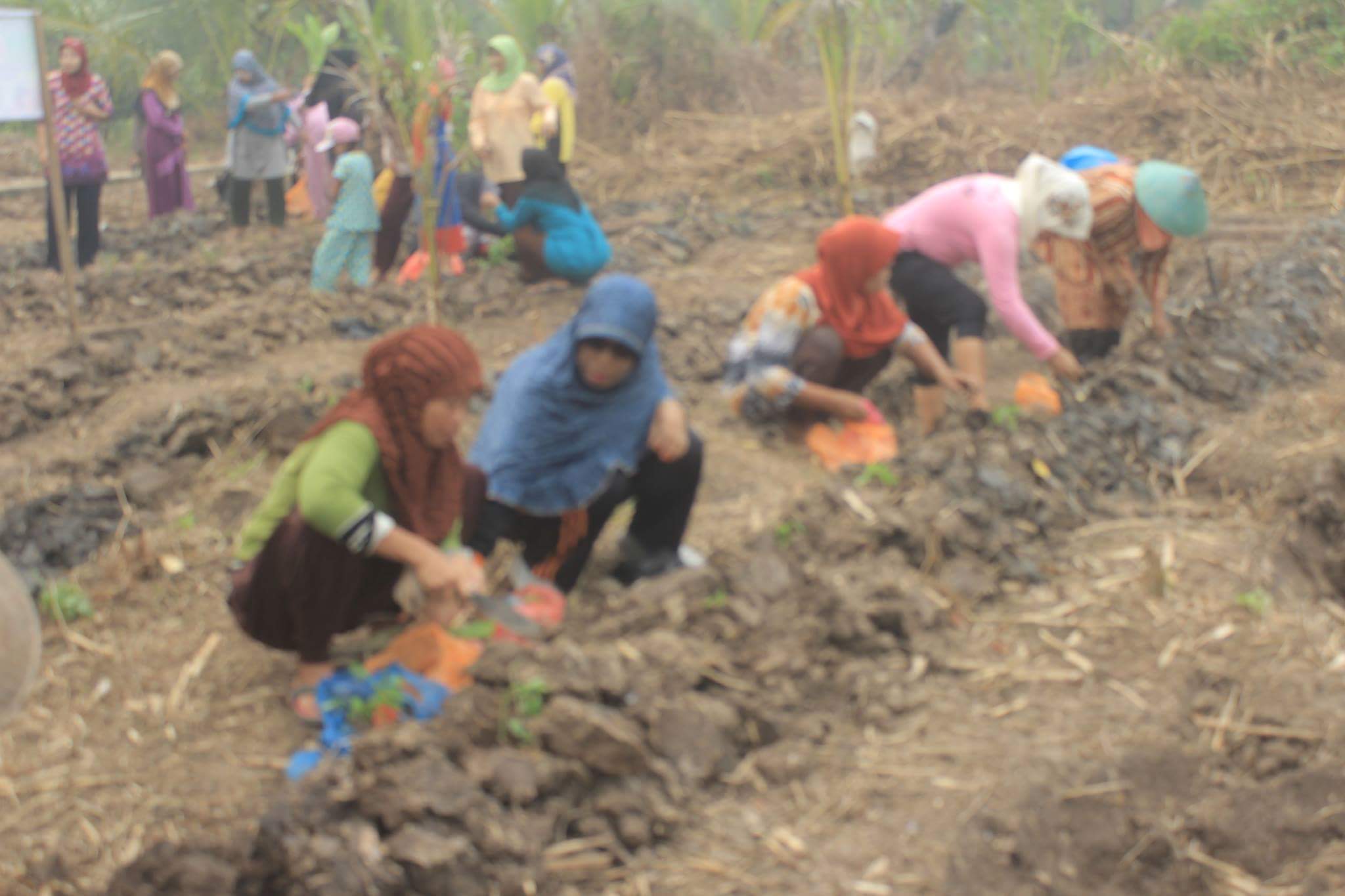 Ibu-ibu PKK Desa Sungai Piyai Manfaatkan Lahan-lahan Kosong