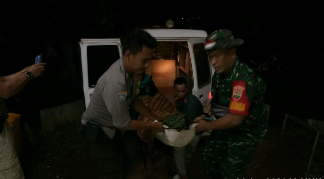BBKSDA Riau Duga Korban Terkaman Harimau Adalah Pembalak Liar