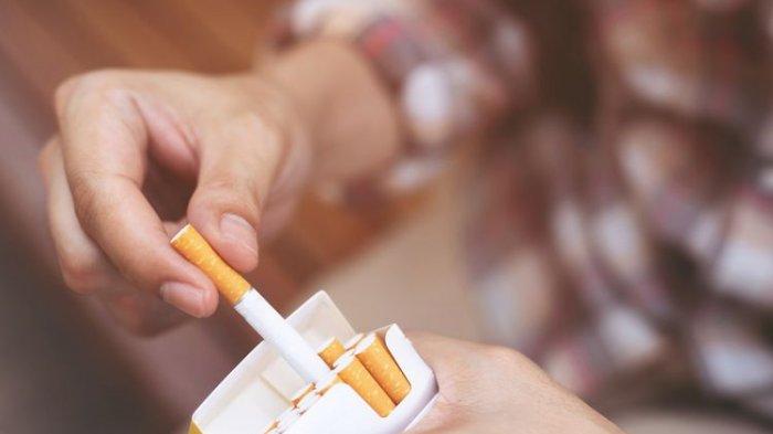 Harga Rokok Sudah Naik 35 Persen, Coba Cek