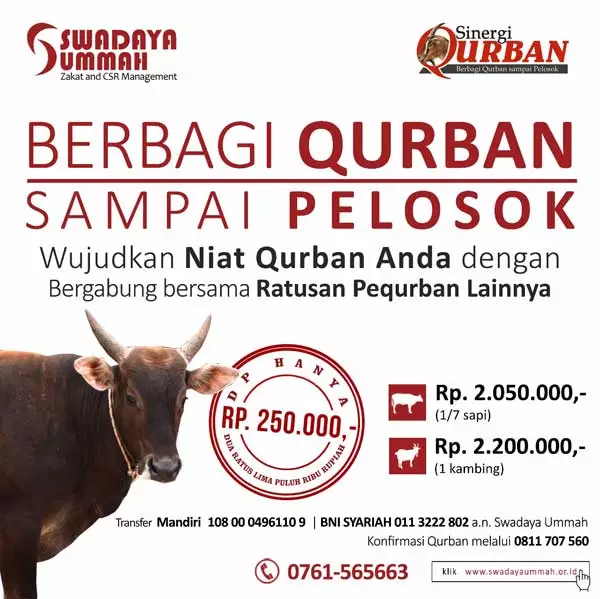 Swadaya Ummah Luncurkan Program Sinergi Qurban