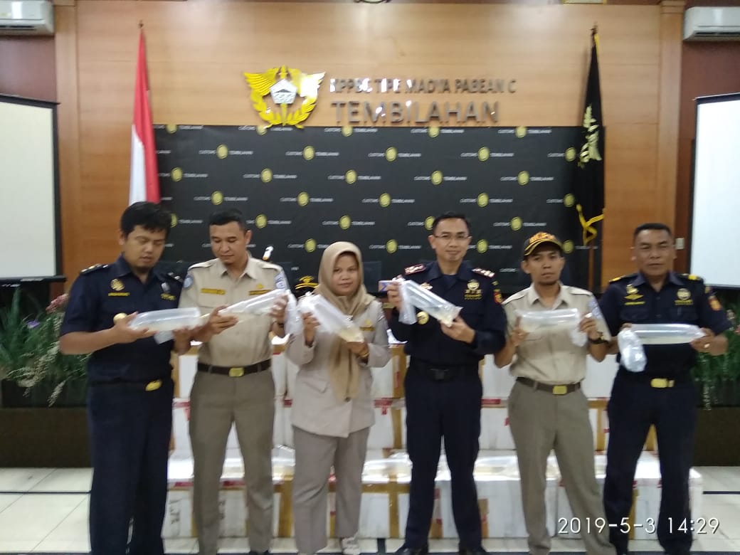 Baby Lobster Senilai Rp15 M Diamankan