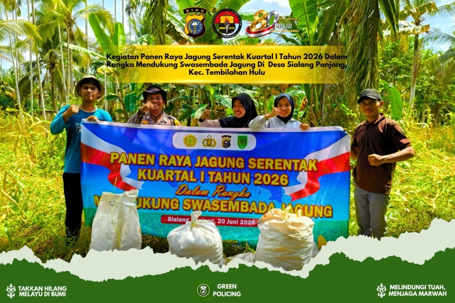 BUMDes Sakinah Terus Dorong Swasembada Jagung di Tembilahan Hulu