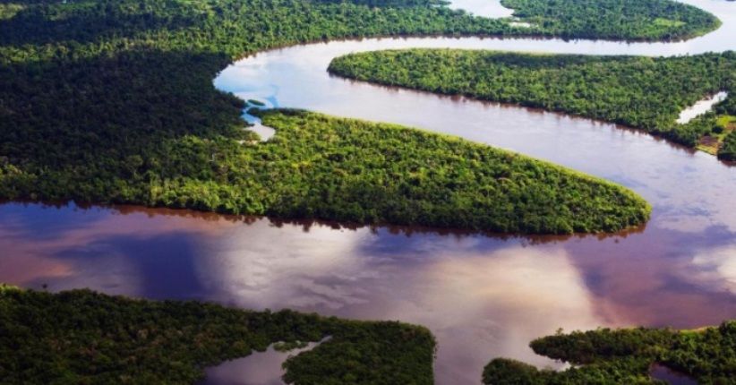Virus Corona Bahkan Sudah Menjangkau Pedalaman Hutan Amazon