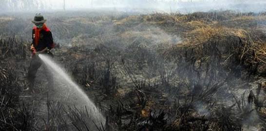 Kapolda Riau Baru Akan Evaluasi SP3 Kasus Kebakaran Hutan