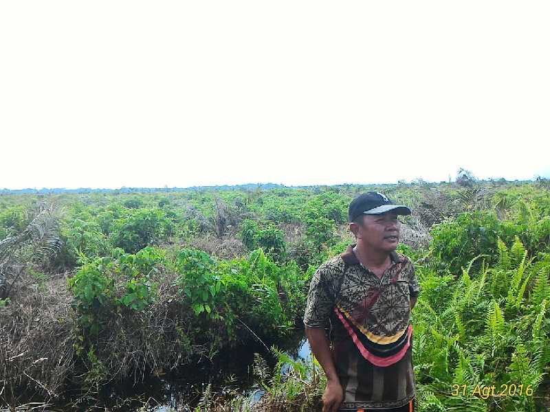 Syarkawi : 80 Hektare Lahan Kami Diserobot