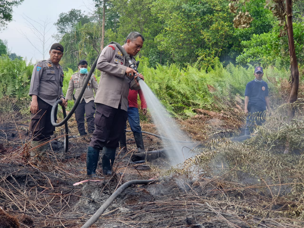 3 Ha Lahan di Desa Simpang Gaung Terbakar