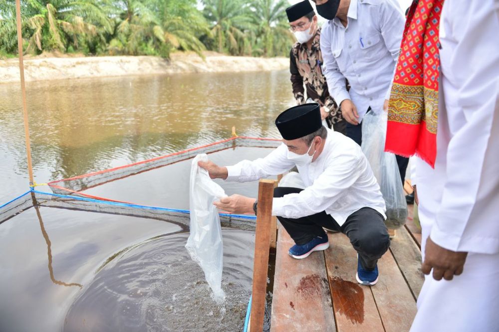 Gubri Syuar Semai Bibit Ikan Di Pondok Pesantren Tahfiz Sains Al-Azhar Addauly