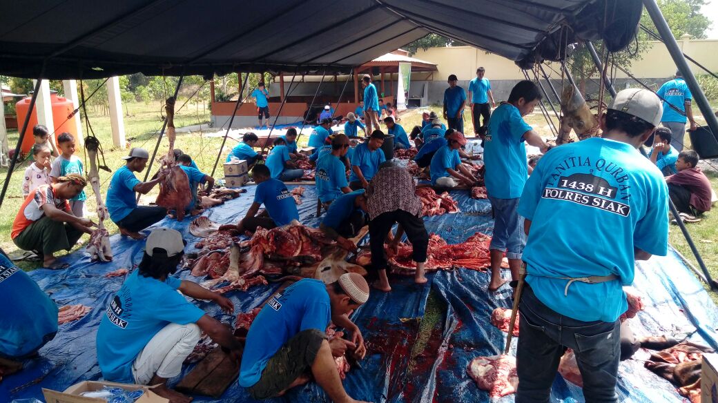 Berkurban, Polres Siak Sembelih 9 Ekor Sapi