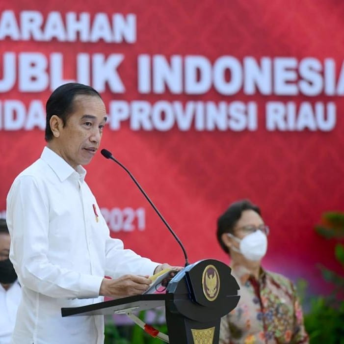 Presiden Jokowi Restui Holding BUMN Ultra Mikro