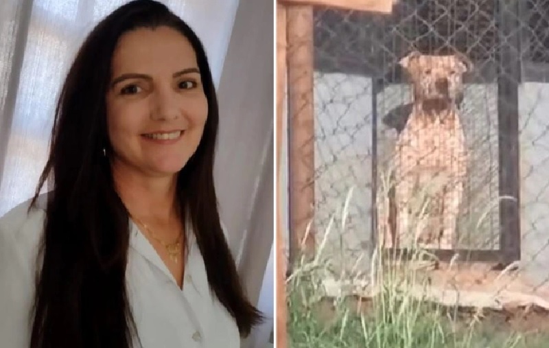 Wanita Ini Tewas Digigit Enam Anjing Pitbull saat Bertemu Kekasihnya