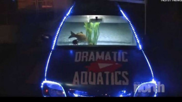 Pria Ini Ubah Mobilnya Jadi Akuarium, Ini Alasannya...