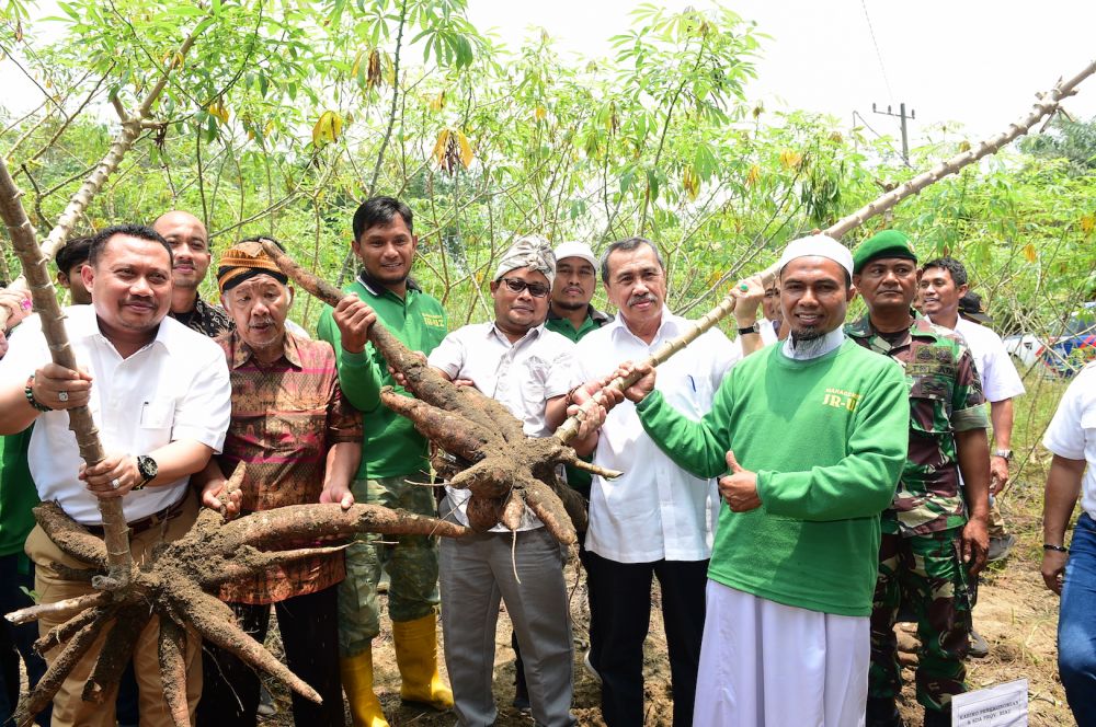Pemprov Riau Dorong Perbankan Beri Pinjaman Kredit Ke Petani