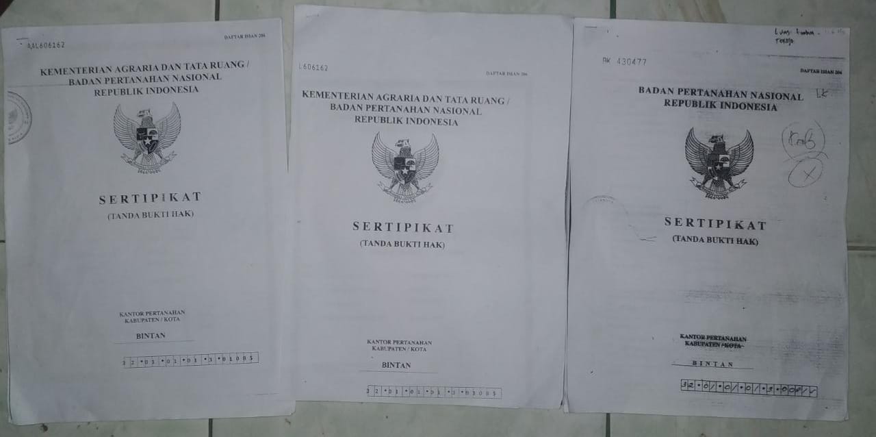 Penimbunan Mangrov di Tokojo, BPN diduga Lalai Dalam Penerbitan Sertifikat