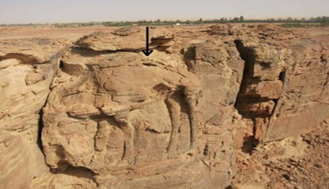 Patung Unta Abad Pertama SM Ditemukan di Arab Saudi