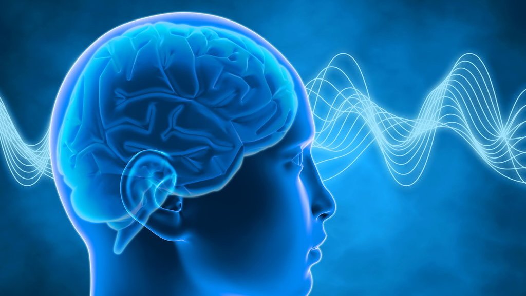 Alquran Ungkap Fakta Mengagumkan Dialami Otak Manusia pada Usia 40 Tahun