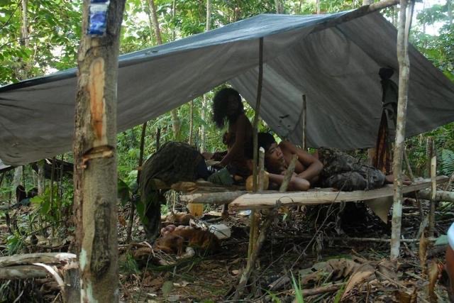 Orang Rimba Ditolak Bank hingga Terpaksa Simpan Uang Rp 1,5 Miliar Dalam Tanah di Hutan