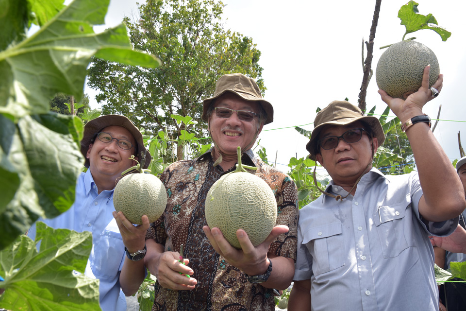 ISEI Apresiasi Keberhasilan Petani Siak Dalam Kalahkan Tengkulak