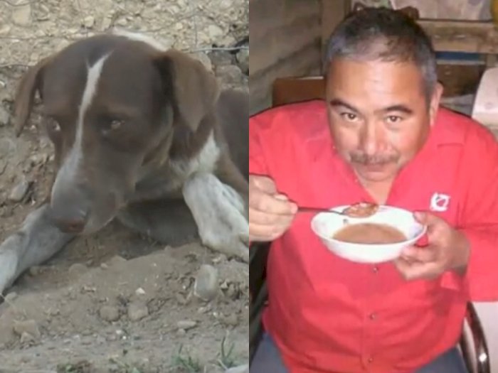 Pemiliknya Tewas dalam Tambang, Anjing Setia Ini Masih Menunggu di Luar